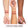 Pillow Talk PLUMP EFFECT LIP KIT LIP KIT