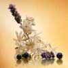 STAR CONFIDENCE 10 ML PARFUM